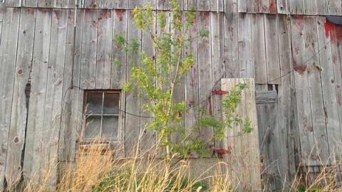 Exterior Photos! - Wholey-Barn41.jpg