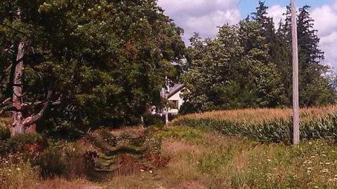 the landing - Cornhuskers-House3.jpg