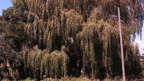 the landing - Cornhuskers-House17.jpg