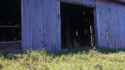 the landing - Cornhuskers-House29.jpg