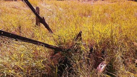 Photo from the landing