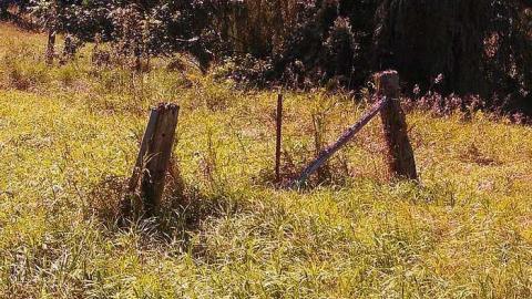 the landing - Cornhuskers-House43.jpg