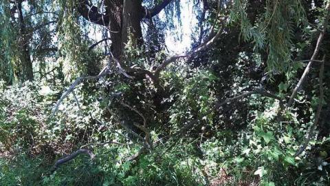 the landing - Cornhuskers-House37.jpg