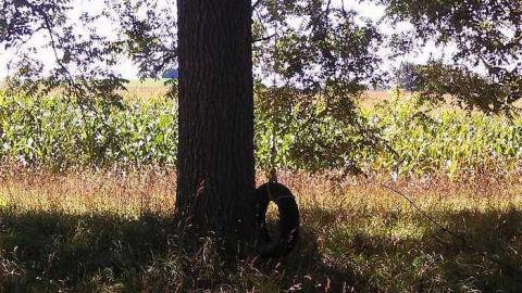 the landing - Cornhuskers-House38.jpg