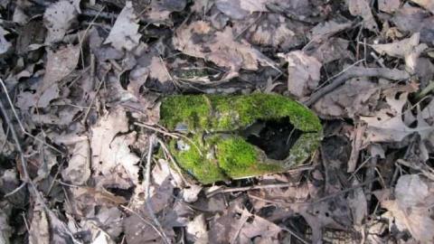 May 2011 - IMG_0539.jpg