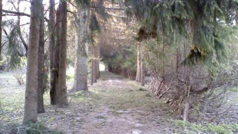 46 Meadowcliffe - 46-Meadowcliffe-Drive16.jpg