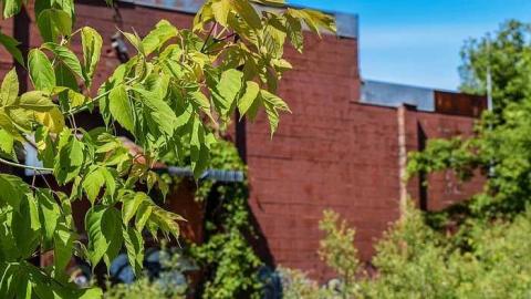 No Place Like Holmes - Holmes-Foundry82.jpg