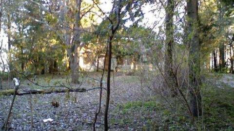 Photo from 46 Meadowcliffe