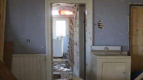 Peaceful yet Trashed - Stone,-Cars,-and-a-Frog17.jpg