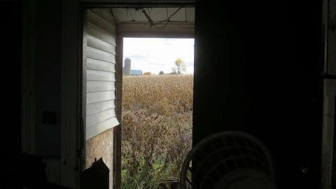 Peaceful yet Trashed - Stone,-Cars,-and-a-Frog10.jpg