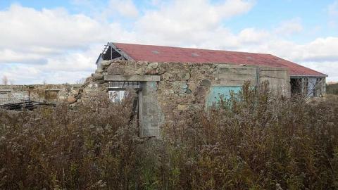 Peaceful yet Trashed - Stone,-Cars,-and-a-Frog12.jpg