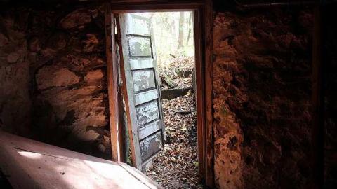 Photo from October 25