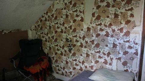 Photo from October 25