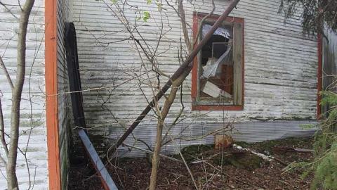 Photo from October 25