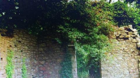 Photo from 3 different visits