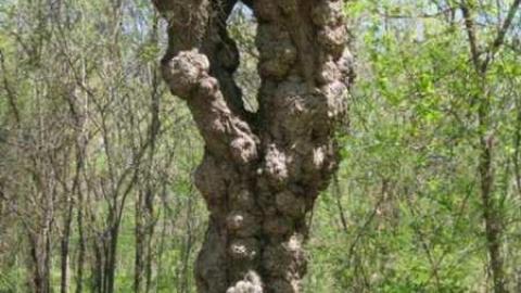 Fisherville - Fisherville 028.jpg