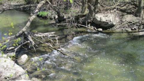 Fisherville - Fisherville 029.jpg