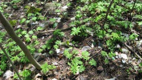 Fisherville - Fisherville 032.jpg