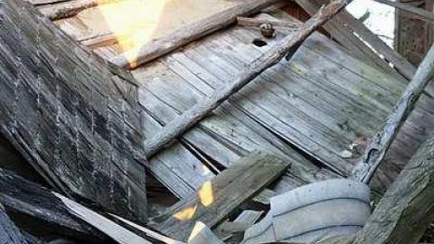 Photo from Swoosh '15