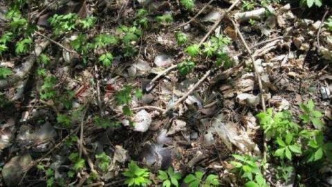 Photo from Fisherville