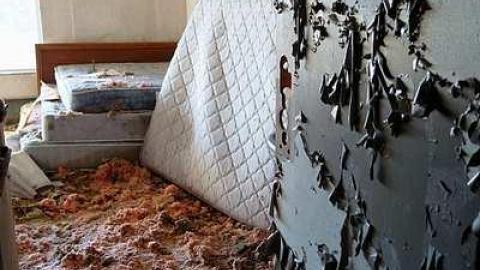 Bad Air Inn '15 - Prudhommes-Landing-Inn94.jpg