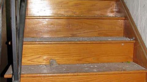 Once Proud - u-17.jpg