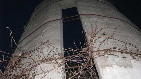 Whitby Ruins - Whitby-Ruins10.jpg