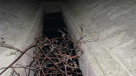 Whitby Ruins photo 5