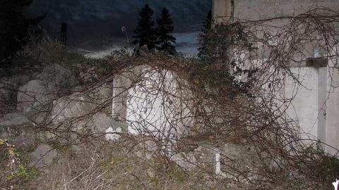 Whitby Ruins - Whitby-Ruins3.jpg