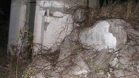 Whitby Ruins - Whitby-Ruins12.jpg