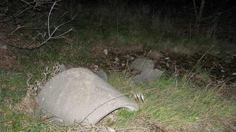 Whitby Ruins - Whitby-Ruins13.jpg