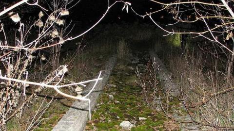 Whitby Ruins - Whitby-Ruins14.jpg