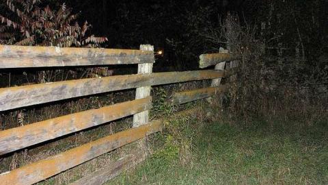 Whitby Ruins - Whitby, Ontario