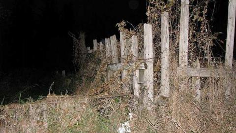 Whitby Ruins photo 2