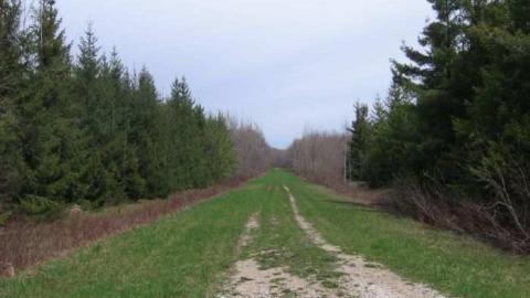 Osler Castle - Osler-Castle-Galleries18.jpg