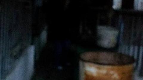 Fergus House and Barn - Fergus-Farmhouse-At-The-Gates9.jpeg