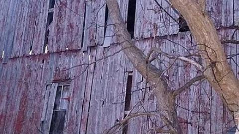 Fergus House and Barn - Fergus-Farmhouse-At-The-Gates15.jpeg