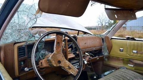 Photos - x-DSC_1233.jpg