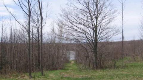 Osler Castle - Osler-Castle-Galleries16.jpg