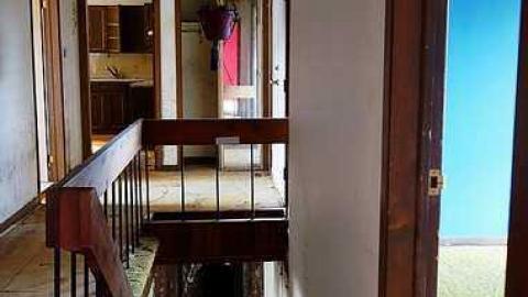 Pine Mold Elite '15 - b-DSC03020.jpg