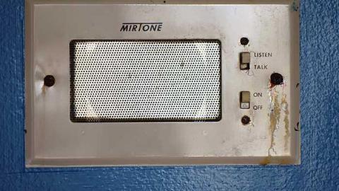 Pine Mold Elite '15 - c-DSC03029.jpg