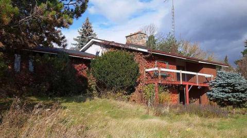 Pine Mold Elite '15 - v-DSC03069.jpg