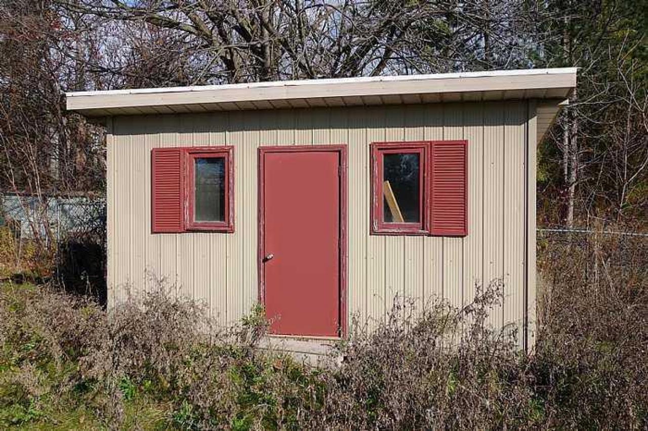 Pine Mold Elite '15 - u-DSC03079.jpg