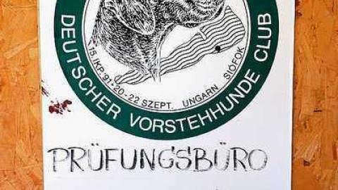 Pine Mold Elite '15 - w-DSC03087.jpg