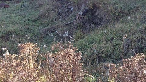 McCowan's Mill remains - Bagotville-(ghost-town)7.jpeg