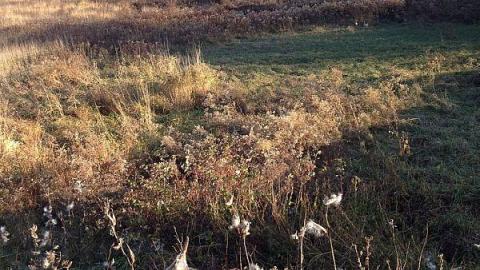 McCowan's Mill remains - Bagotville-(ghost-town)8.jpeg