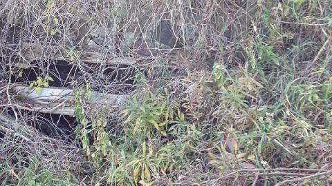 McCowan's Mill remains - Bagotville-(ghost-town)9.jpeg