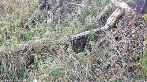 McCowan's Mill remains - Bagotville-(ghost-town)4.jpeg