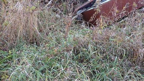 McCowan's Mill remains - Bagotville-(ghost-town)5.jpeg