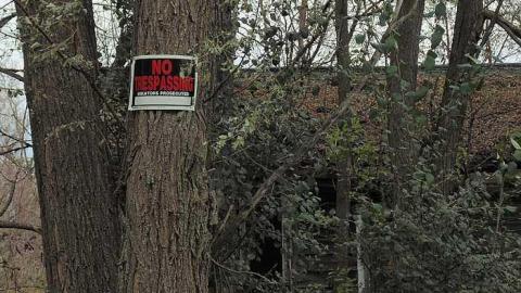 Abandoned Cabin in the Trees photo 3